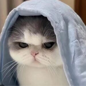 ***Reserved purchase! Do not buy unless for you!***